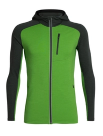 Gilet Icebreaker Men Quantum LS Zip Hood Lawn Forestwood