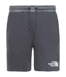 Korte Broek The North Face Men Vista Tek Short Asphalt Grey