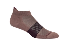 Sportsocken Icebreaker Multisport Light Micro Braun Damen