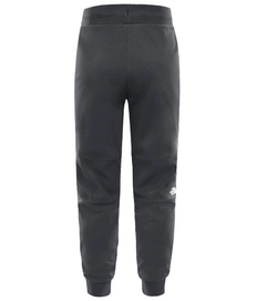 Trainingsbroek The North Face Men Fine 2 Asphalt Grey