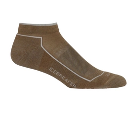 Wandersocken Icebreaker Hike Cool Lite Low Cut Flint Damen