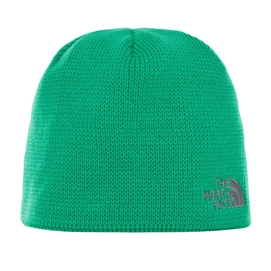 Beanie The North Face Bones Primary Green Vanadis Grey