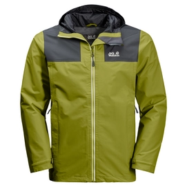 Jacke Jack Wolfskin Jasper Peak Eucalyptus Grün Herren