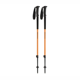 Bâtons de Randonnée Black Diamond Syncline