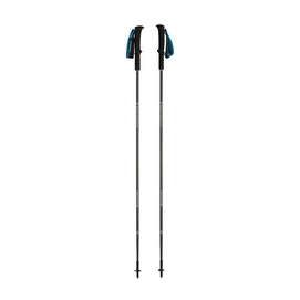 Bâtons de Randonnée Black Diamond Distance Carbon 120 cm