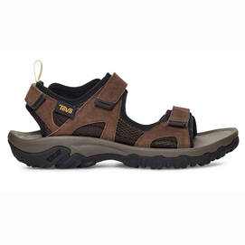 Teva Men Trailpulse Brown