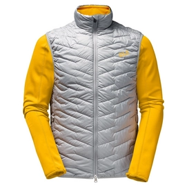 Veste Jack Wolfskin Icy Trail Homme Alloy