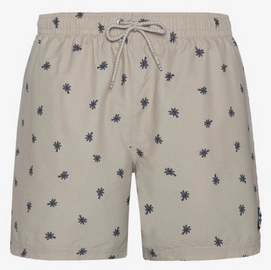 Beachshort Protest Men Aaiden Desert Stonebeige