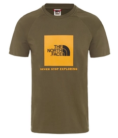 T-Shirt The North Face Men Raglan Red Box New Taupe Green