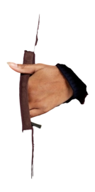 366034_7-_no-bg