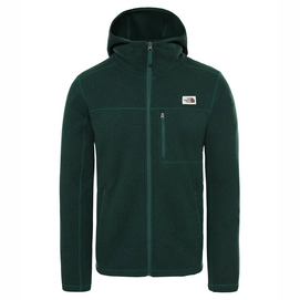 Fleece The North Face Men Gordon Lyons Hoody Night Green Heather