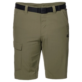 Kurze Hose Jack Wolfskin Hoggar Shorts Burnt Olive Herren