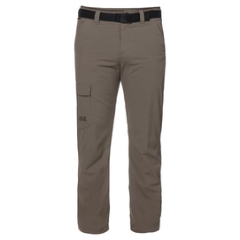 Broek Jack Wolfskin Hoggar Pants Siltstone