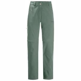 Hose Jack Wolfskin Active Track Zip Off Pants Damen Picnic Green