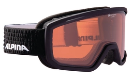 Skibrille Alpina Scarabeo QH Black Matt 2017