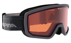 Skibrille Alpina Scarabeo QH Anthracite