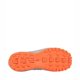 Wandelschoen The North Face Men Litewave Fastpack GTX Phantom Grey