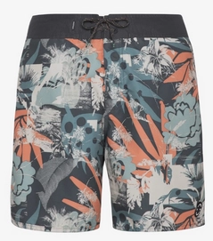 Beachshort Protest Men Aryf Huntergreen