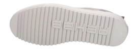 243731_4-_no-bg