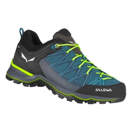 Wanderschuhe Salewa Mountain Trainer Lite Herren Malta Fluo Green