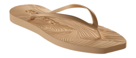 2---sand3_2048x-_no-bg