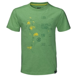 T-Shirt Jack Wolfskin Journey T Kids Vivid Green