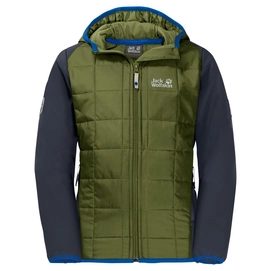 Veste Jack Wolfskin Boys Grassland Hybrid Cypress Green