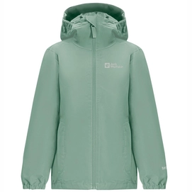 Jas Jack Wolfskin Kids Flaze Jacket Granite Green