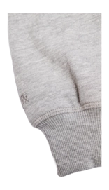6---1_basichoodie_hoodie_grey_1333x2000-4-_no-bg