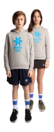 2---Hoodie-blue-star-grey-deshi-full-_no-bg