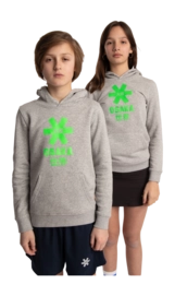 Trui Osaka Kids Deshi Hoodie Green Star Heather Grey