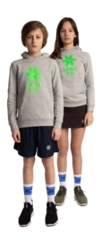 2---Hoodie-green-star-grey-deshi-full-_no-bg