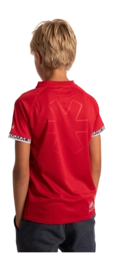 4---jersey-red-deshi-back-_no-bg