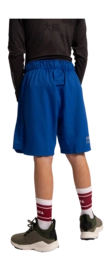 2---training-short-royal-blue-deshi-back-_no-bg