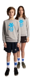 2---Sweater-blue-star-grey-deshi-full-_no-bg