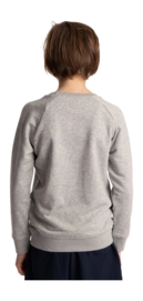 5---Sweater-blue-star-grey-deshi-boy-back-_no-bg
