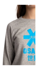 8---Sweater-blue-star-grey-deshi-girl-detail-_no-bg