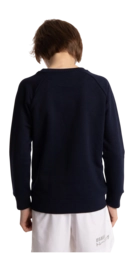 5---Sweater-blue-star-navy-deshi-boy-back-_no-bg
