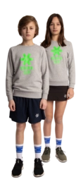 2---Sweater-green-star-grey-deshi-full-_no-bg