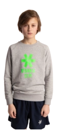 3---Sweater-green-star-grey-deshi-boy-front-_no-bg