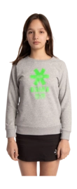 4---Sweater-green-star-grey-deshi-girl-front-_no-bg