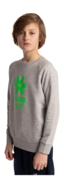7---Sweater-green-star-grey-deshi-boy-side-_no-bg