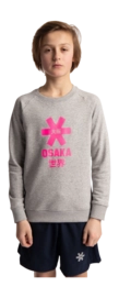 2---Sweater-pink-star-grey-deshi-boy-front-_no-bg