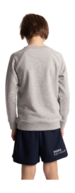 6---Sweater-pink-star-grey-deshi-boy-back-2-_no-bg