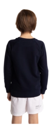 7---Sweater-pink-star-navy-deshi-boy-back-_no-bg