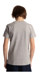 5---Tee-blue-star-grey-deshi-boy-back-2-_no-bg