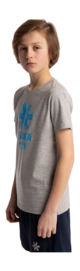 7---Tee-blue-star-grey-deshi-boy-side-_no-bg