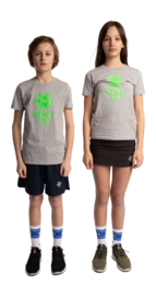 2---Tee-green-star-grey-deshi-full-_no-bg