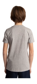 5---Tee-green-star-grey-deshi-boy-back-_no-bg