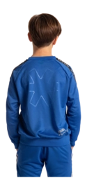 7---training-sweater-royal-blue-deshi-back-_no-bg